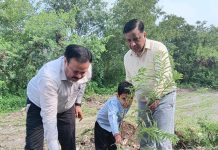 पेड़ नहीं, आने वाली पीढ़ियों का भविष्य लगा रहे हैं” : बंशीधर तिवारी
