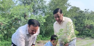 पेड़ नहीं, आने वाली पीढ़ियों का भविष्य लगा रहे हैं” : बंशीधर तिवारी