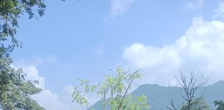 एमडीडीए उपाध्यक्ष बंशीधर तिवारी ने कहा—विकास के साथ देहरादून की हरियाली और प्राकृतिक सुंदरता को संजोना जरूरी, पर्यावरण संतुलन बनाए रखना समय की मांग