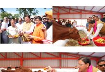 मुख्यमंत्री धामी ने हल्दीघेरा, खटीमा में ₹7.23 करोड़ की लागत से निर्मित गौशाला का किया लोकार्पण